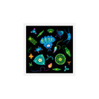 Phytoplankton Art Print Gallery Image 1