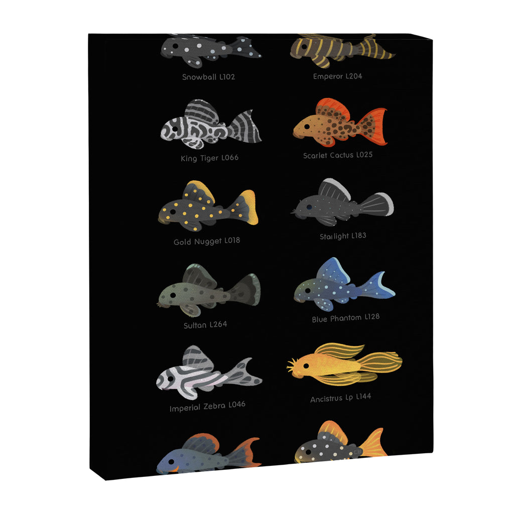 Pleco! Canvas Print Gallery Image 6