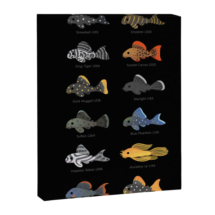 Pleco! Canvas Print Gallery Image 1