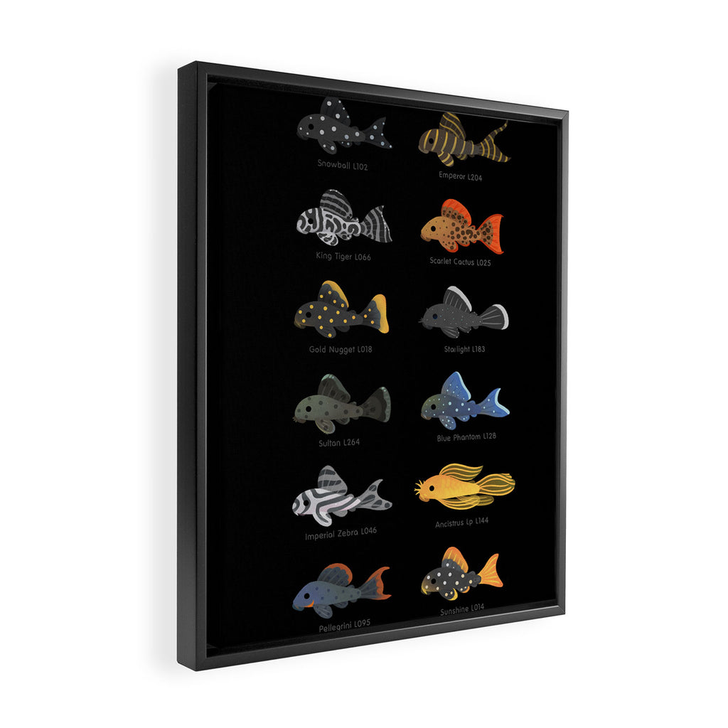 Pleco! Framed Canvas Print Gallery Image 2