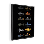 Pleco! Framed Canvas Print Gallery Image 2
