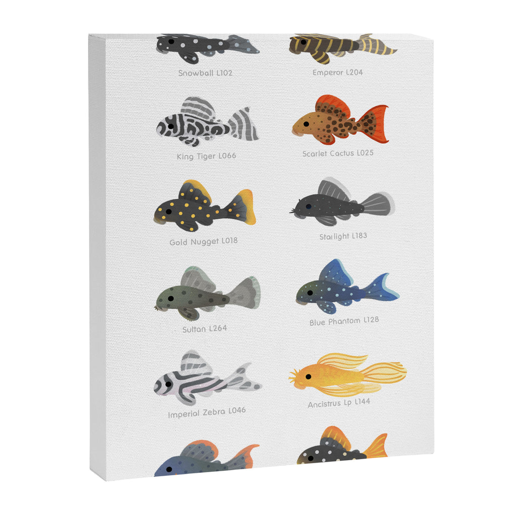 Pleco! - white Canvas Print Gallery Image 8