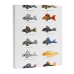 Pleco! - white Canvas Print Gallery Image 8