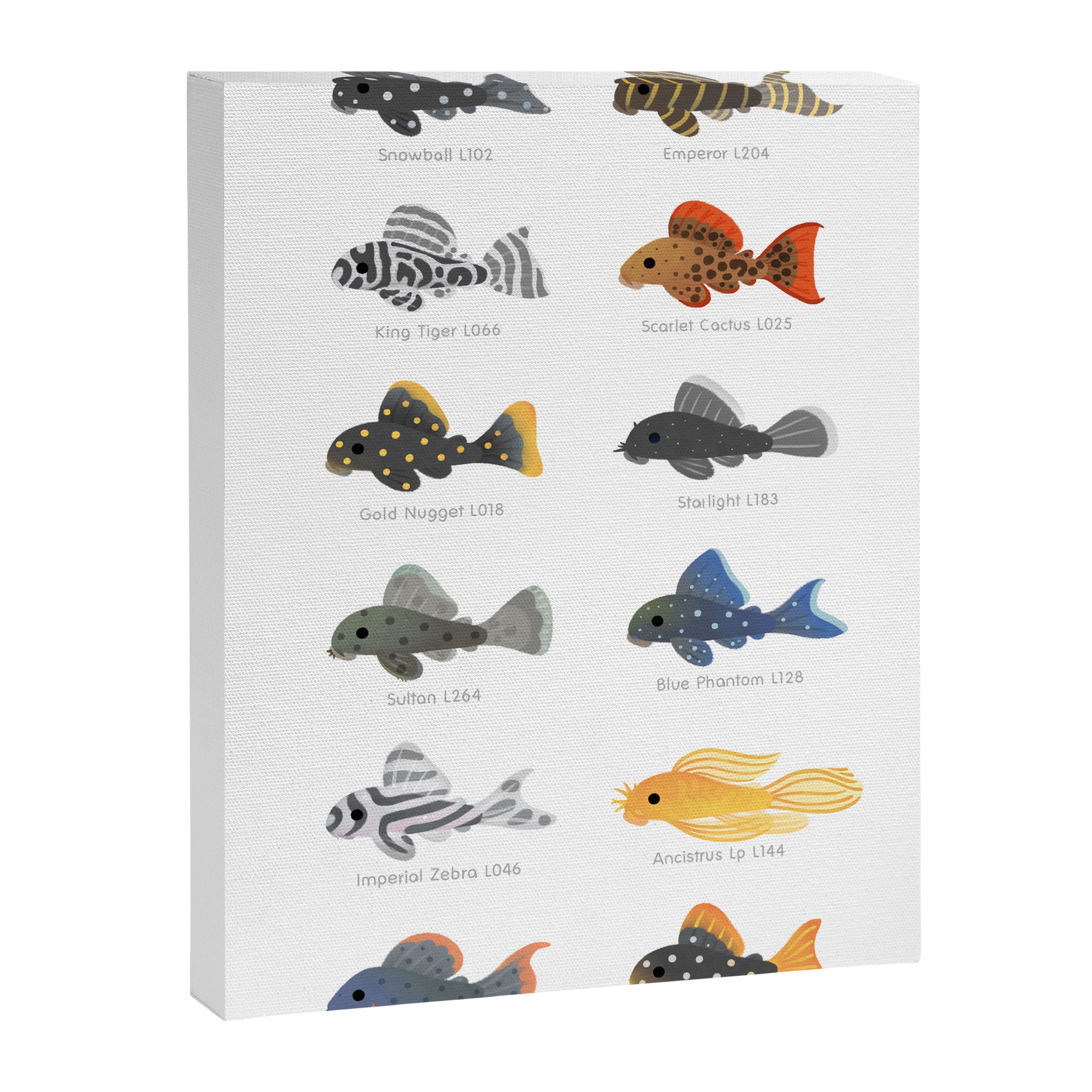 Pleco! - white Canvas Print Gallery Image 8