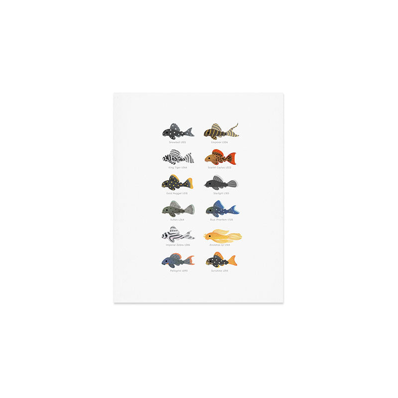 Pleco! - white Art Print Gallery Image 1
