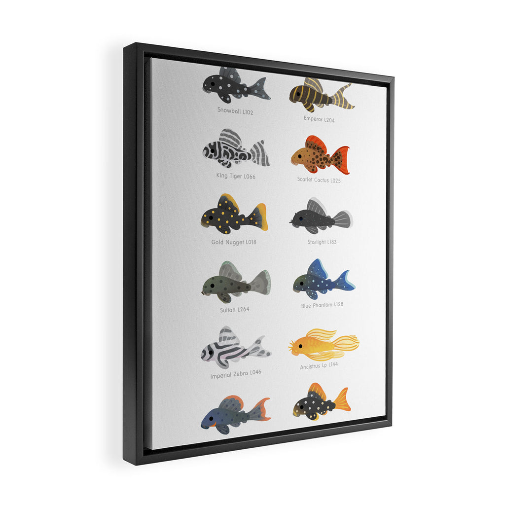 Pleco! - white Framed Canvas Print Gallery Image 2