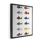 Pleco! - white Framed Canvas Print Gallery Image 2