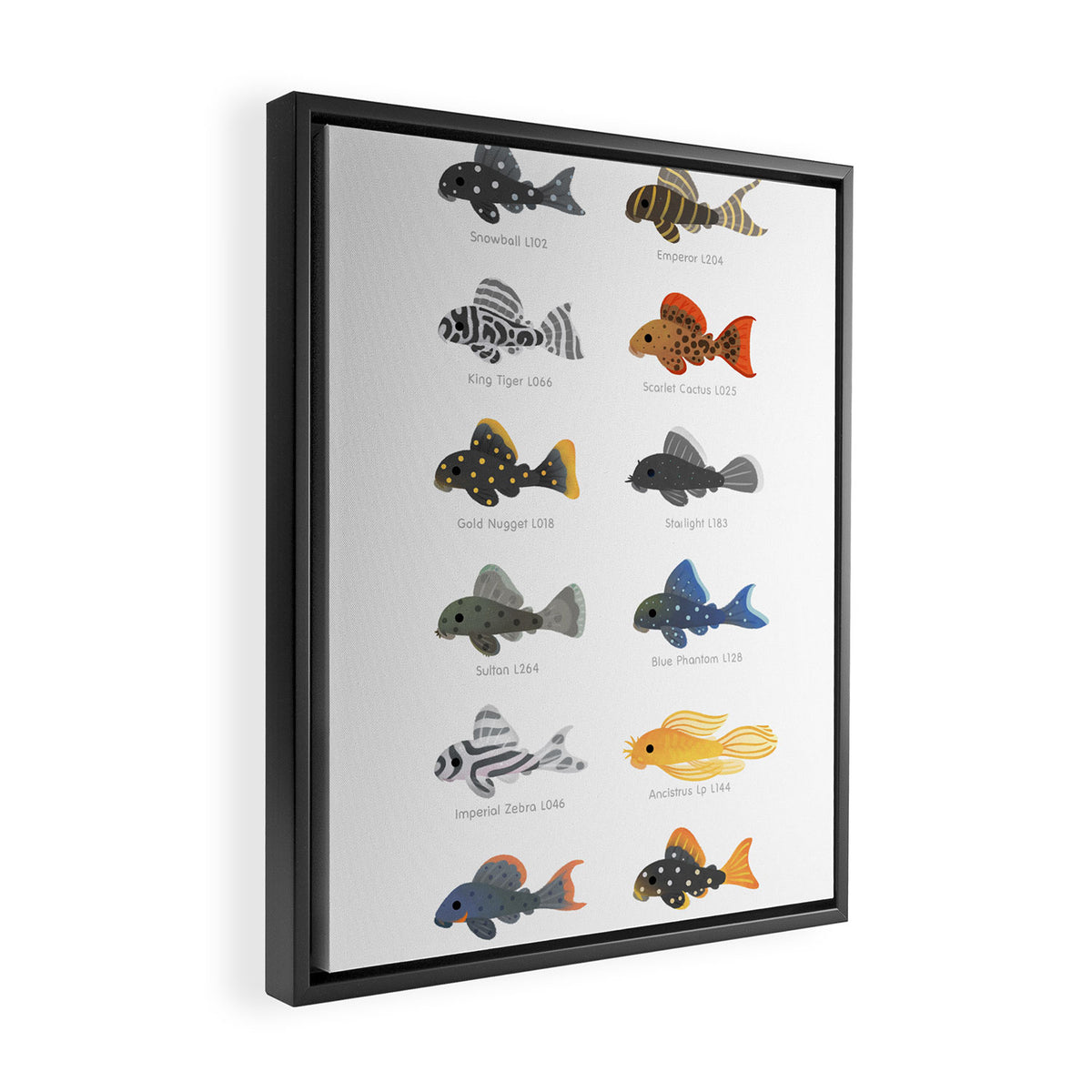 Pleco! - white Framed Canvas Print Gallery Image 2