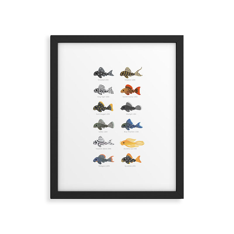 Pleco! - white Framed Art Print Gallery Image 6