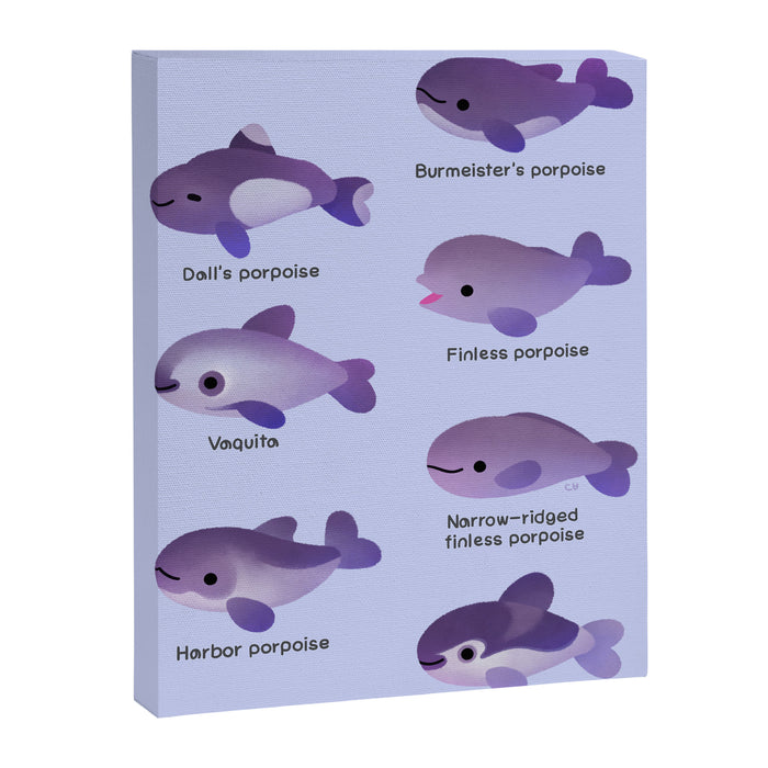 Porpoise Day Canvas Print Gallery Image 1