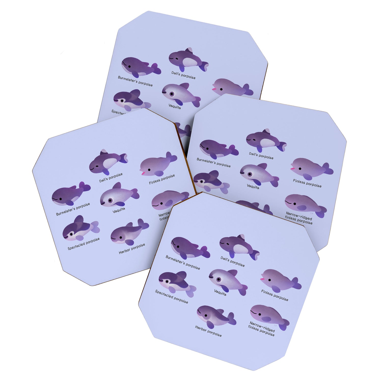 Porpoise Day Coaster Gallery Image 1