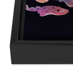 Ray day 1 Framed Canvas Print Gallery Image 3