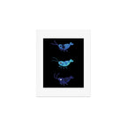 Red and blue shrimp Art Print Gallery Image 1