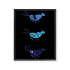 Red and blue shrimp Framed Canvas Print Gallery Image 6