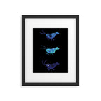Red and blue shrimp Framed Art Print Gallery Image 5