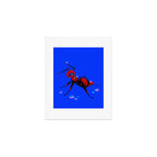 Red velvet ant Art Print Gallery Image 1