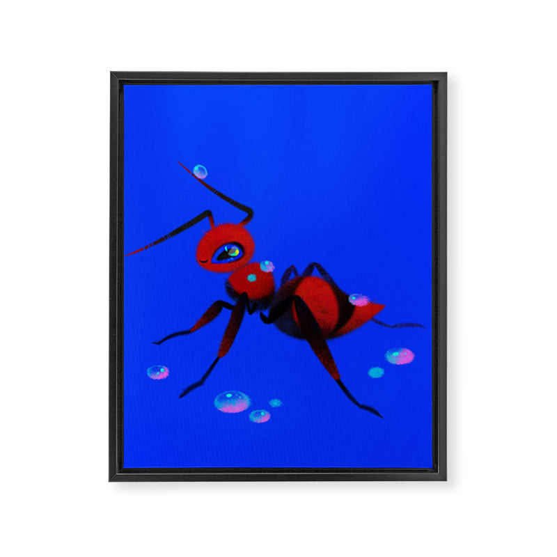 Red velvet ant Framed Canvas Print Gallery Image 8