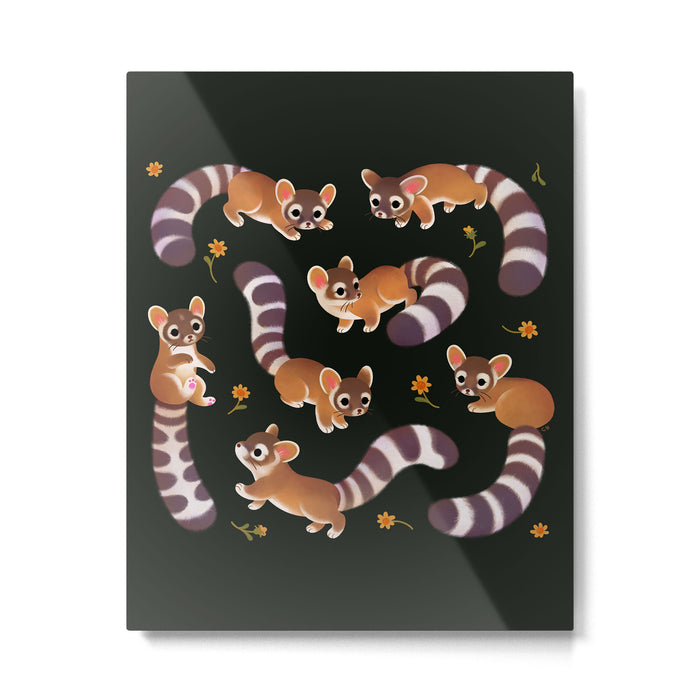 Ringtail - dark Metal Print Gallery Image 1
