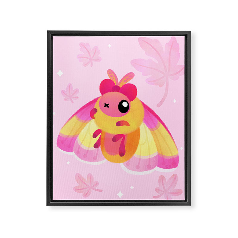Rosy Maple Moth Framed Canvas Print Gallery Image 6