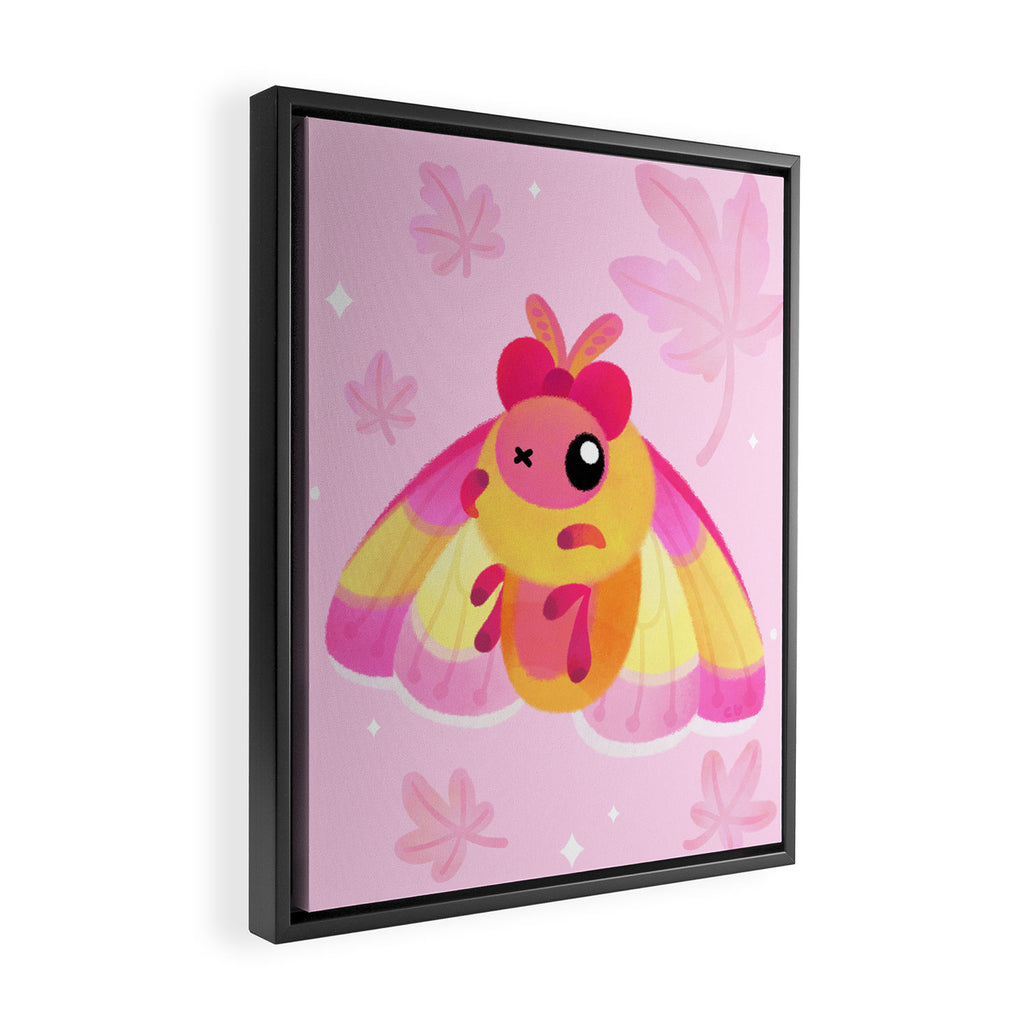 Rosy Maple Moth Framed Canvas Print Gallery Image 2