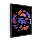Sea slug Framed Canvas Print Gallery Image 2