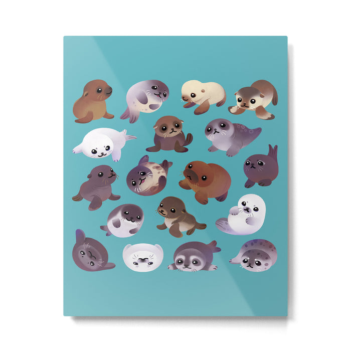 Seal pup Metal Print Gallery Image 1