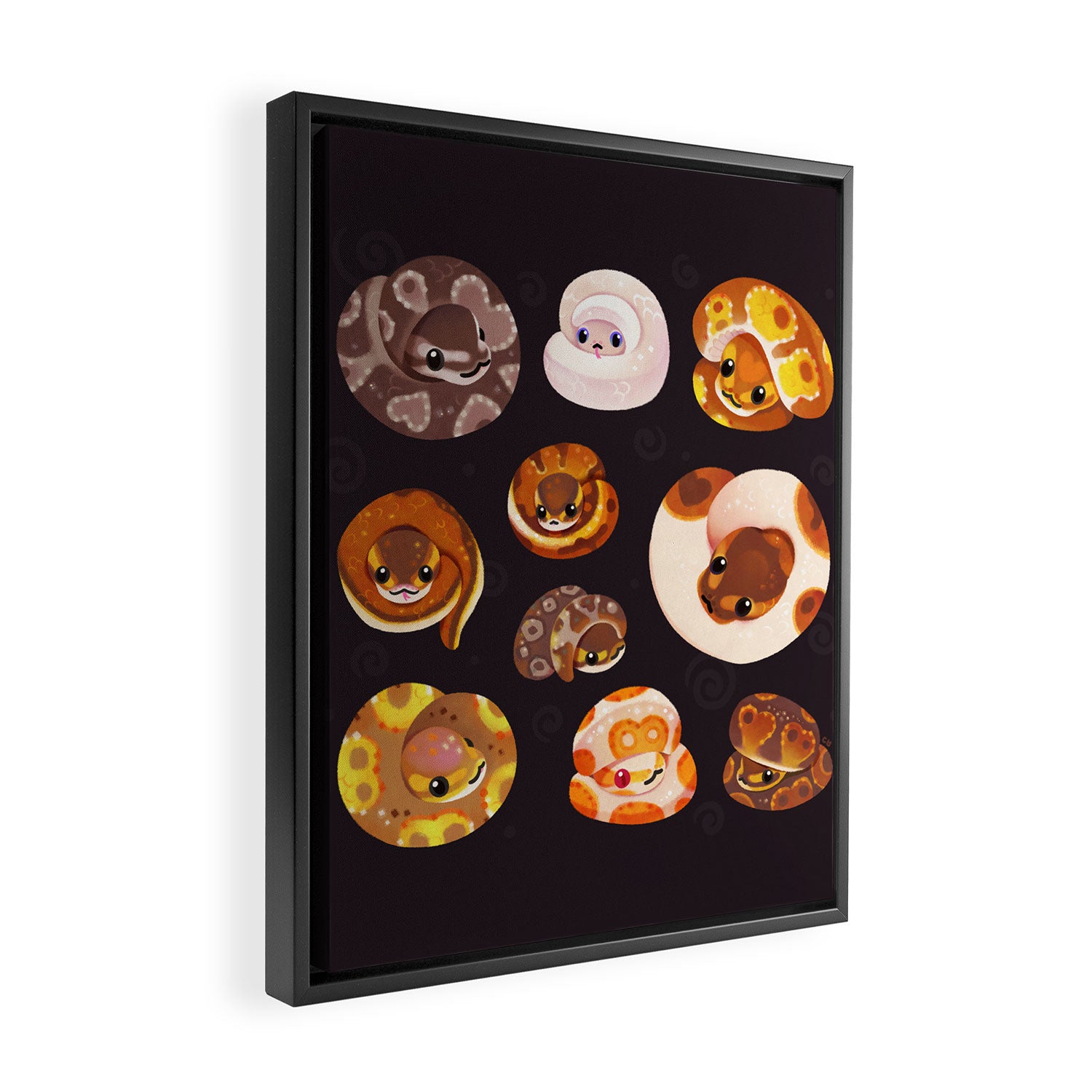 Shy ball pythons - dark Framed Canvas Print Gallery Image 2