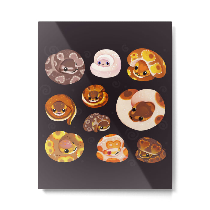 Shy ball pythons - dark Metal Print Gallery Image 1