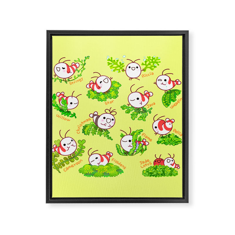 Shy shrimp and moss Framed Canvas Print Gallery Image 8