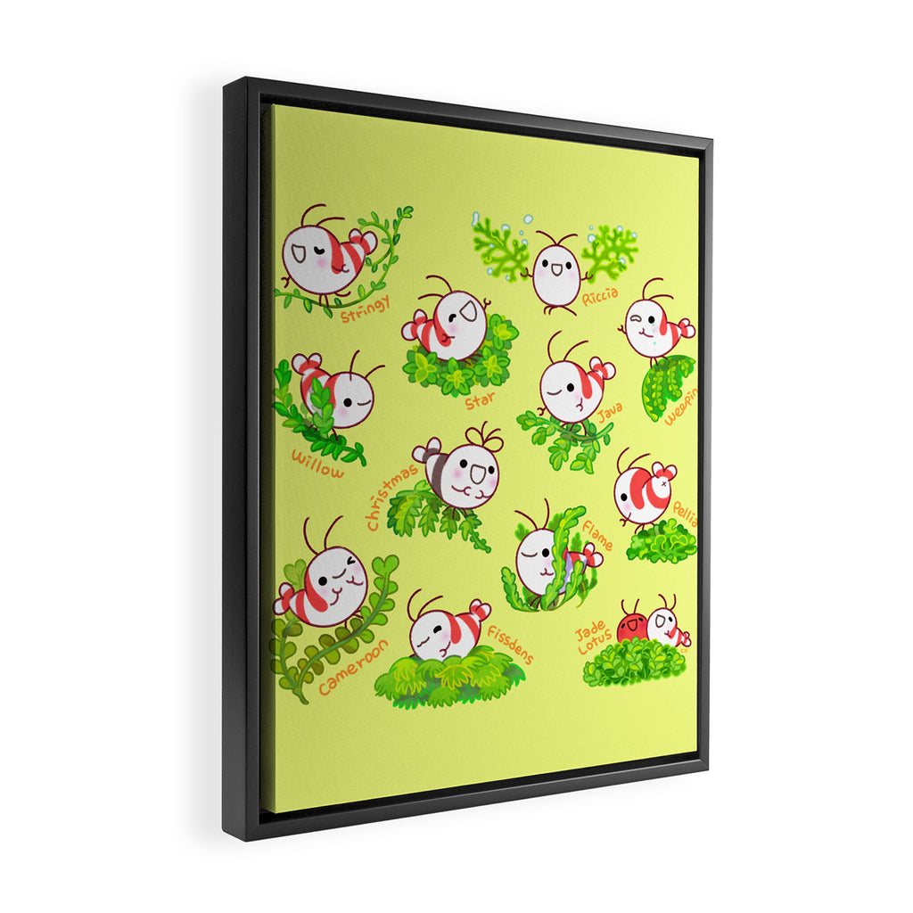 Shy shrimp and moss Framed Canvas Print Gallery Image 2