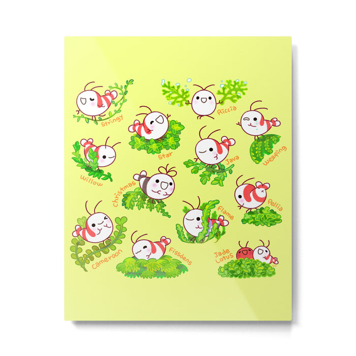 Shy shrimp and moss Metal Print Gallery Image 1
