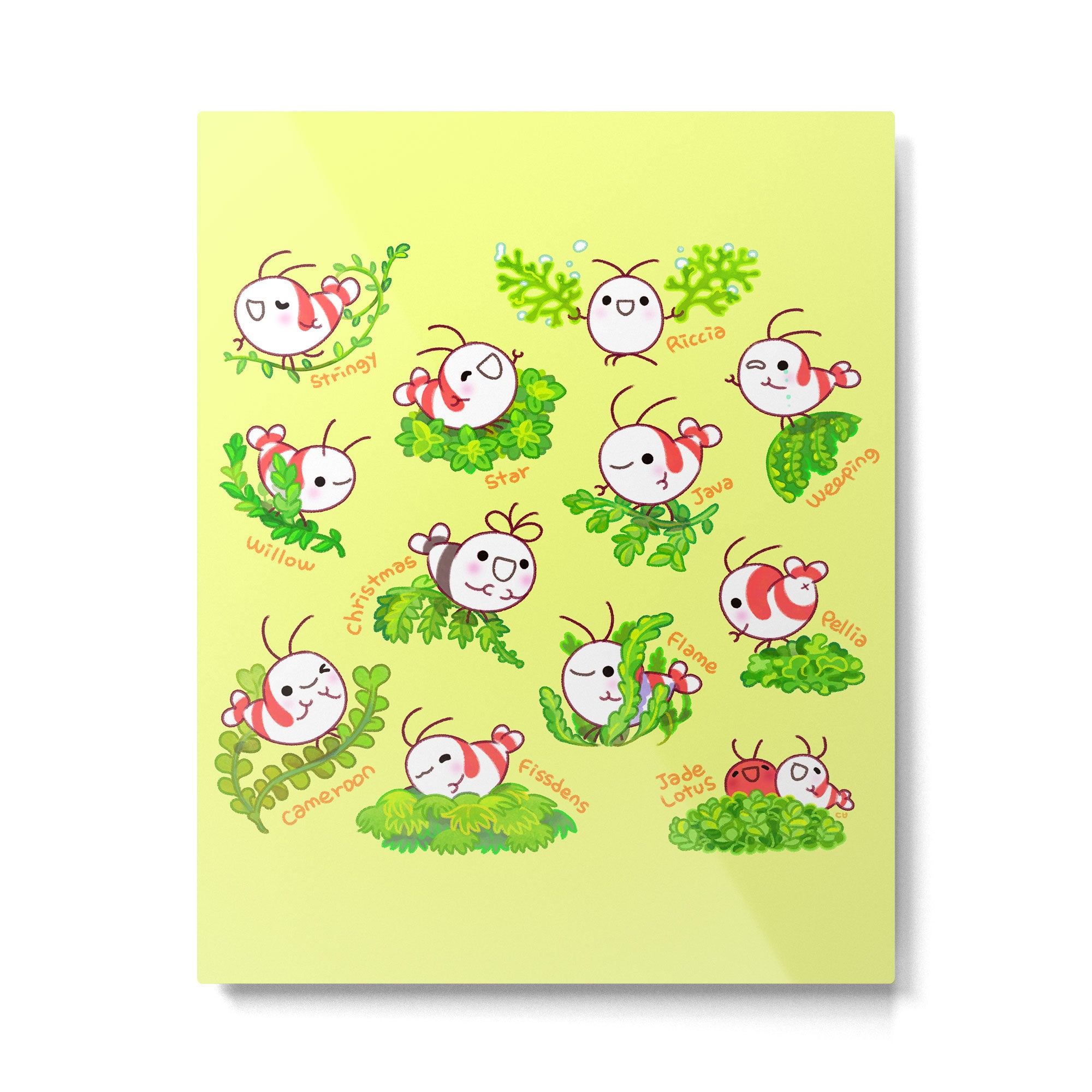 Shy shrimp and moss Metal Print Gallery Image 6