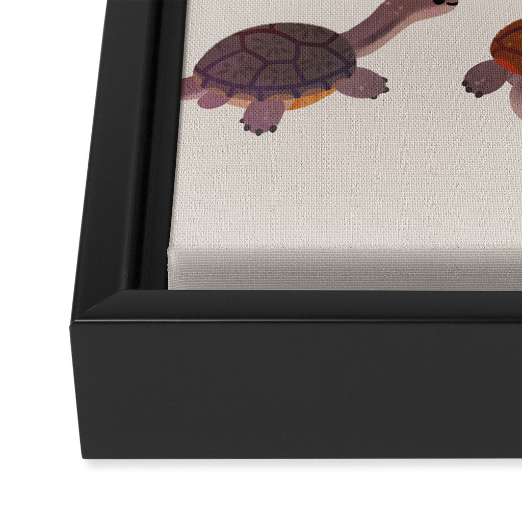 Snake-necked turtle Framed Canvas Print Gallery Image 3