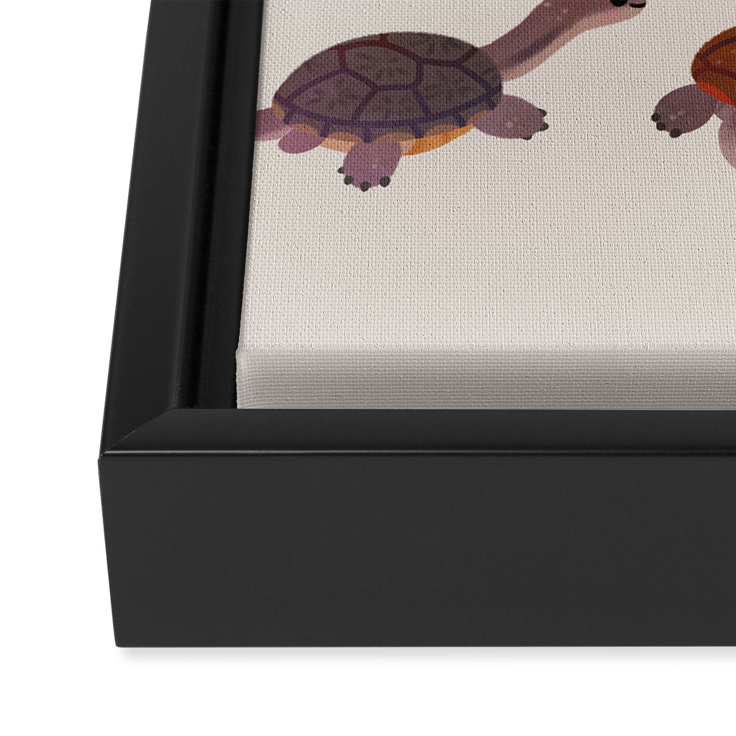 Snake-necked turtle Framed Canvas Print Gallery Image 3