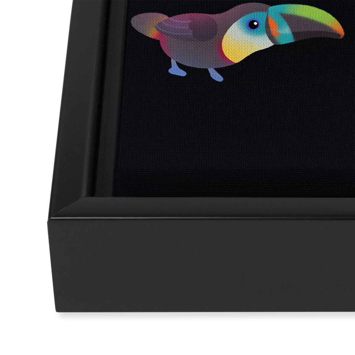 Toucan Framed Canvas Print Gallery Image 3
