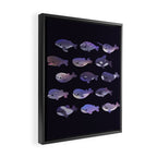 Whale Day Framed Canvas Print Gallery Image 2