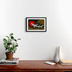 White Tip Reef Shark Framed Art Print Gallery Image 2