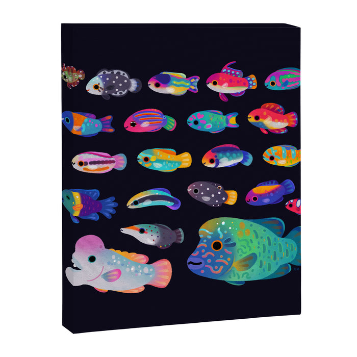 Wrasse! Canvas Print Gallery Image 1