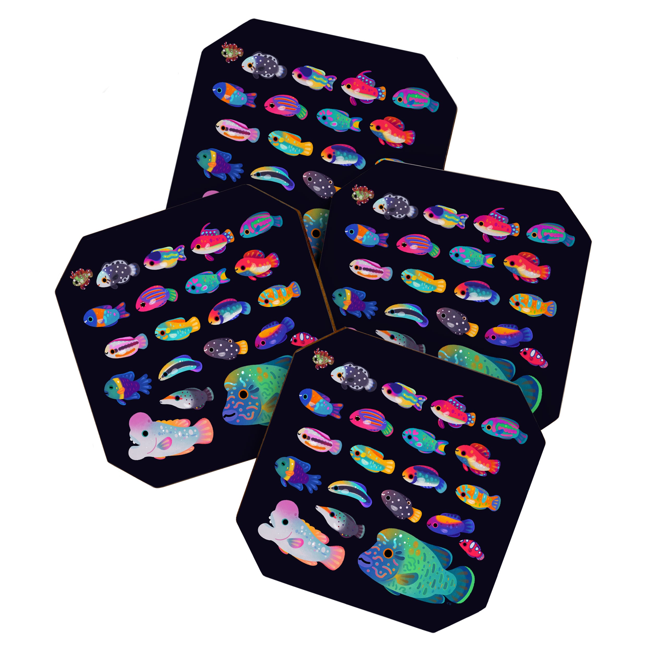 Wrasse! Coaster Gallery Image 1