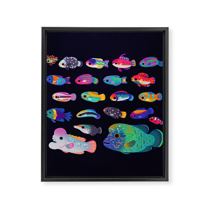 Wrasse! Framed Canvas Print Gallery Image 6