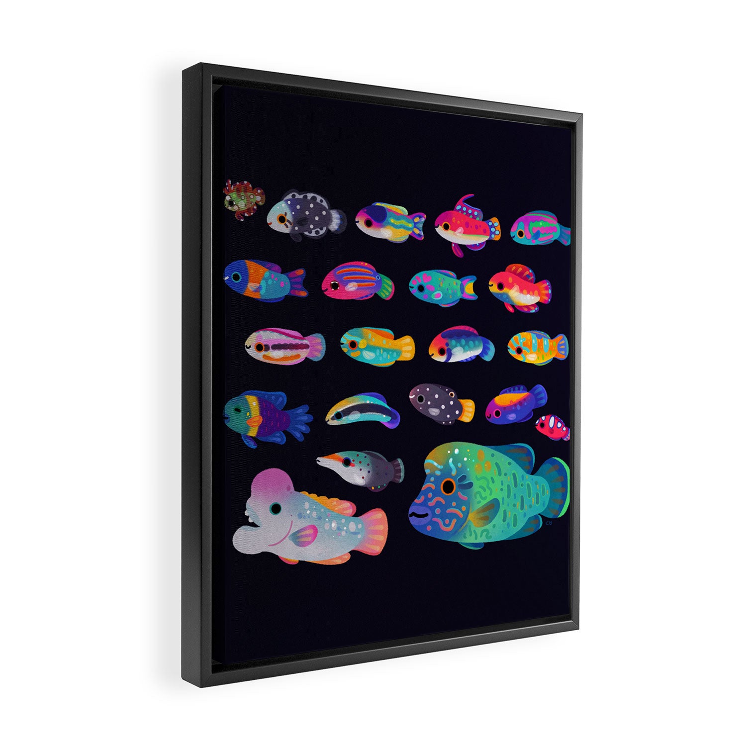 Wrasse! Framed Canvas Print Gallery Image 2