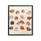 Zebra finch Framed Canvas Print Gallery Image 8