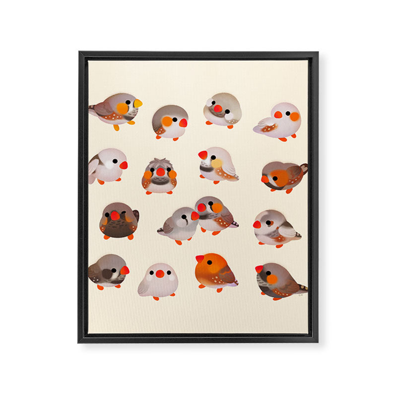 Zebra finch Framed Canvas Print Gallery Image 8
