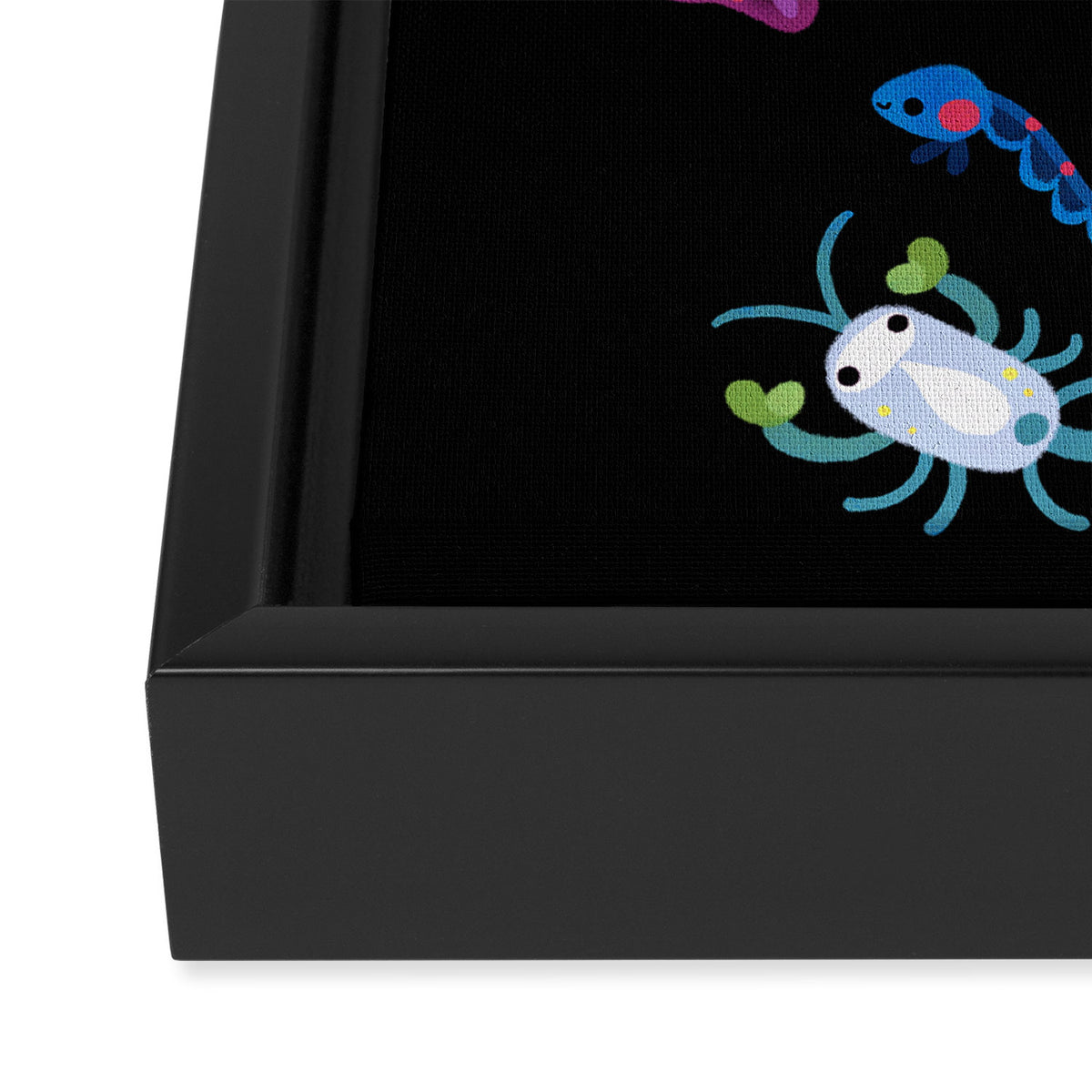 Zooplankton Framed Canvas Print Gallery Image 3