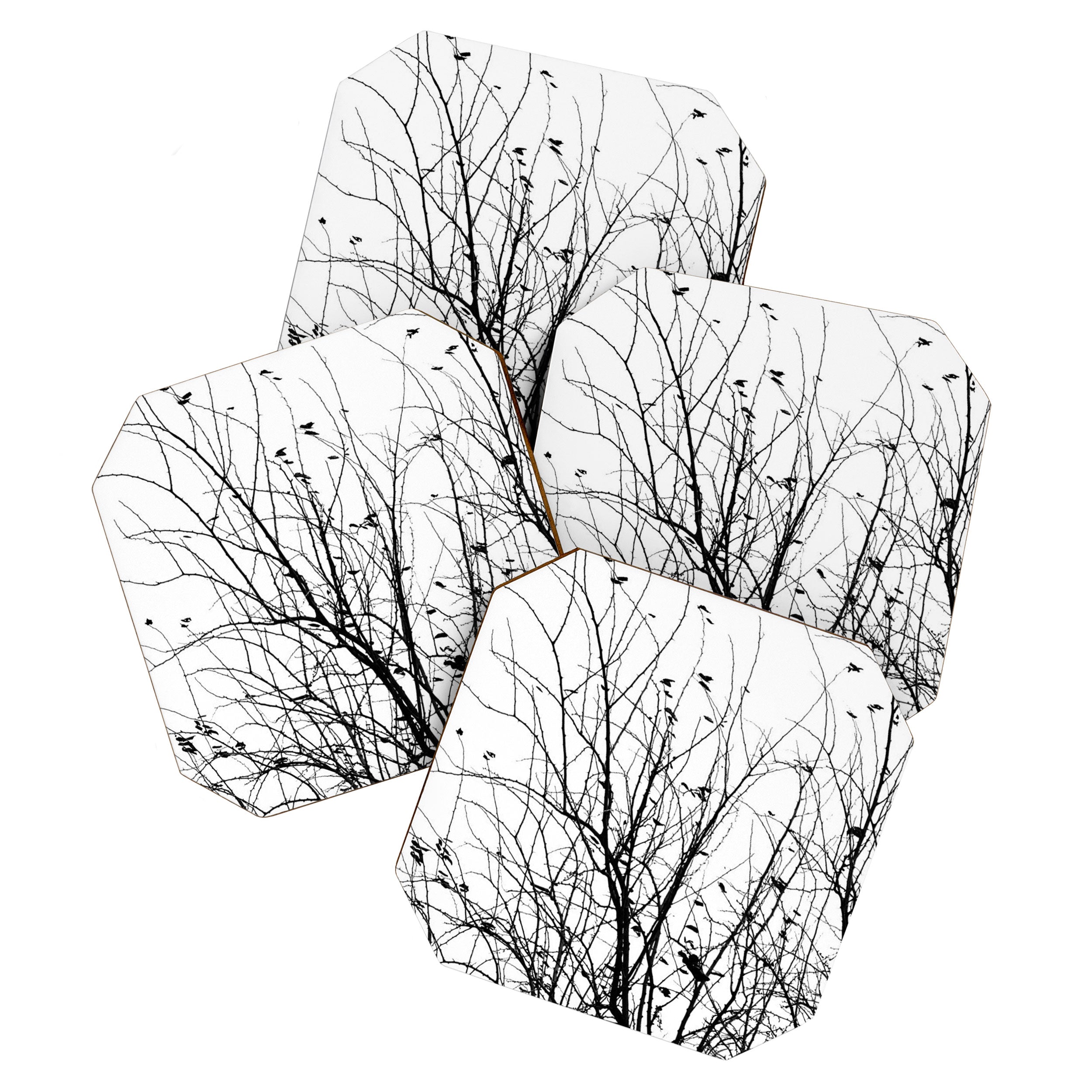 Black white tree branch bird nature pattern Coaster Gallery Image 1