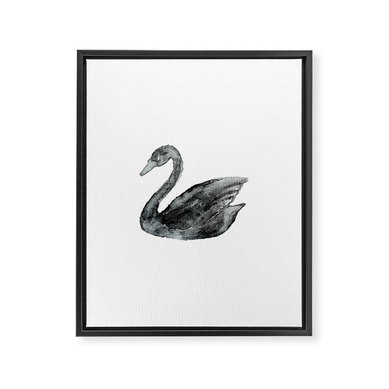 Elegant black white hand painted watercolor swan Framed Canvas Print Gallery Image 8