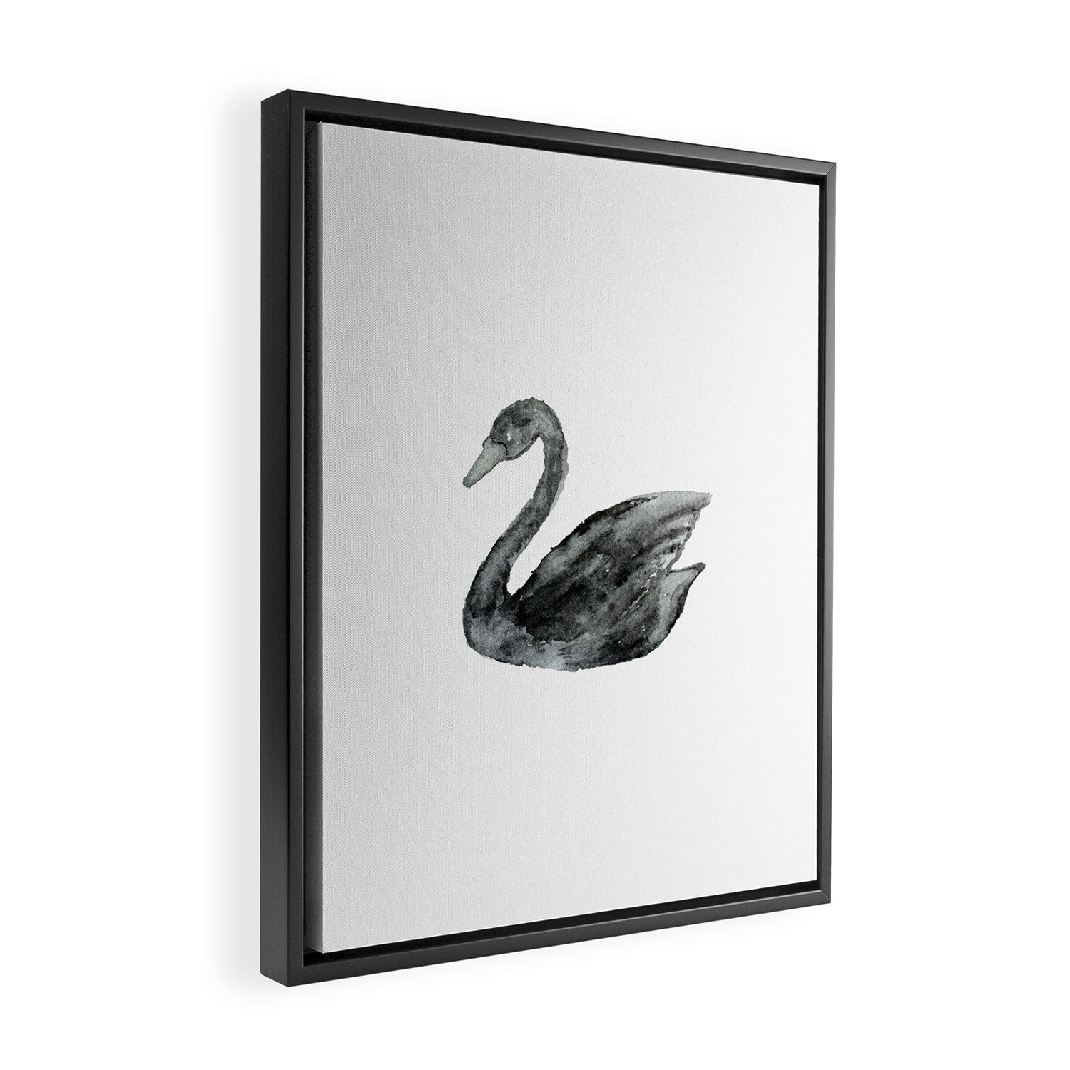 Elegant black white hand painted watercolor swan Framed Canvas Print Gallery Image 2