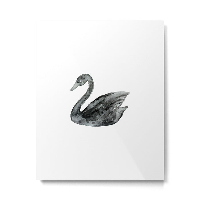 Elegant black white hand painted watercolor swan Metal Print Gallery Image 1