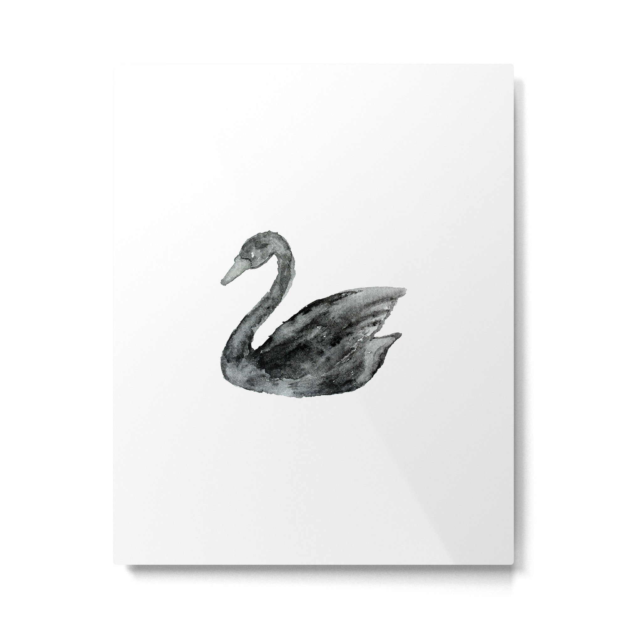 Elegant black white hand painted watercolor swan Metal Print Gallery Image 6