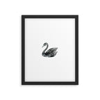 Elegant black white hand painted watercolor swan Framed Art Print Gallery Image 6